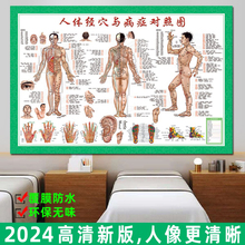 人体经络穴位图标准大挂图全身高清中医养生艾灸针灸背部推拿按摩