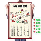 中医脏腑理论墙贴画五行养生文化装 饰画宣传海报五脏六腑关系挂图