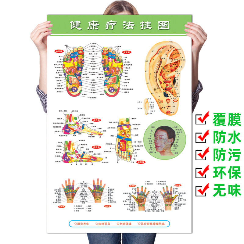 中医养生挂图手足耳头部反射区健康疗法海报推拿足浴店广告贴纸 - 实物图