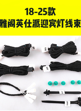 18-25款雅阁英仕派迎宾灯线束十代十一代升级高配原车迎宾灯无损