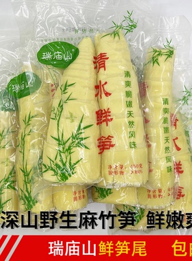 骆坑野生鲜笋尾笋尖小竹笋新鲜竹笋水煮清水笋农家特色菜小袋装