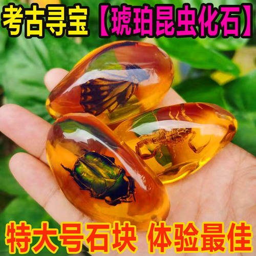 考古挖掘玩具夜光宝石恐龙化石美