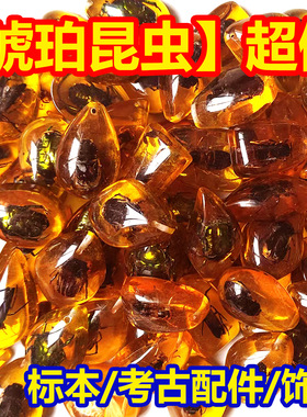 真昆虫琥珀标本化石考古挖掘玩具盲盒配件夜光科普教学