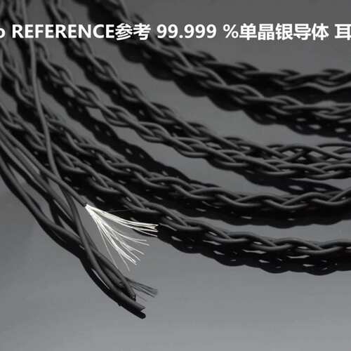 CMaudio REFERENCE参考 99.999 % 超