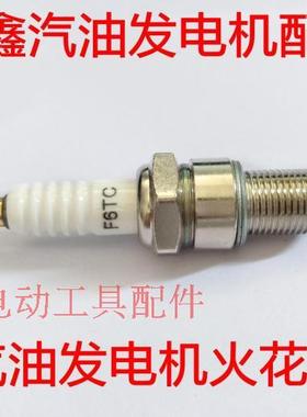 铁鑫园林工具配件 发电机配件 JDS F6TC 汽油发电机火花塞 02489