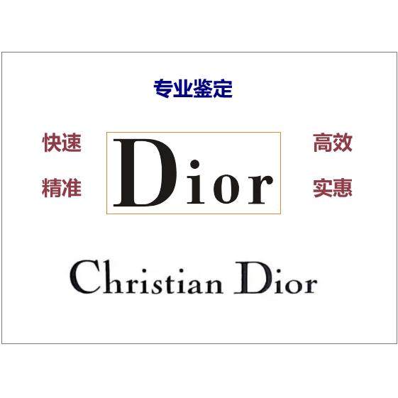 奢侈品鉴定迪奥DIOR鉴定刺绣托特戴妃马鞍土著包真假祖国版评估