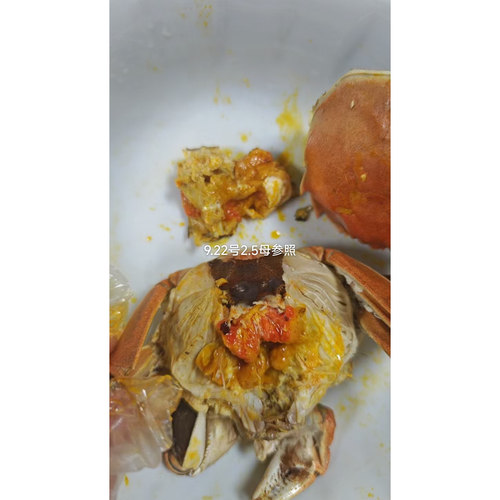 精品8只bilixlb大闸蟹薄利多销