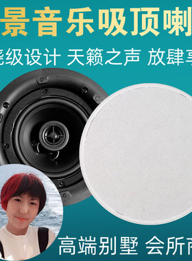 levoice音丽士吸顶音响A568家庭门店商用背景音乐天花喇叭音箱