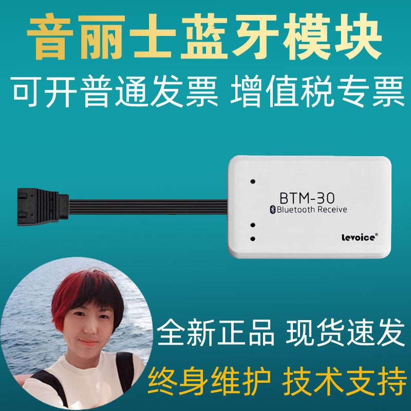 levoice音丽士BTM-30背景音乐音频蓝牙模块立体声音频接收器新款