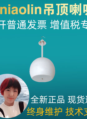 nniaolin MQ-606/606G吊顶喇叭5寸吊球音响餐厅美发店天花板音箱