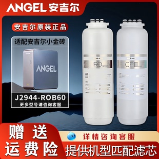 安吉尔净水器滤芯小金砖J2944 CFIII滤芯RO膜 ROB60大鱼3000UST