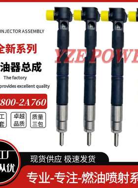 33800-2A760 33800-2A780 EMBR00203D EMBR00201D柴油共轨喷油器