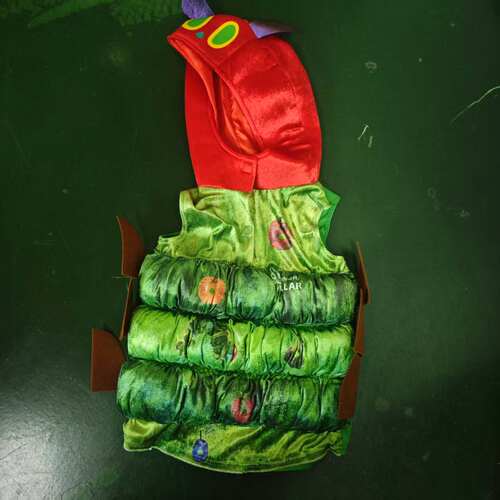 4-6岁好饿的毛毛虫绘本人物