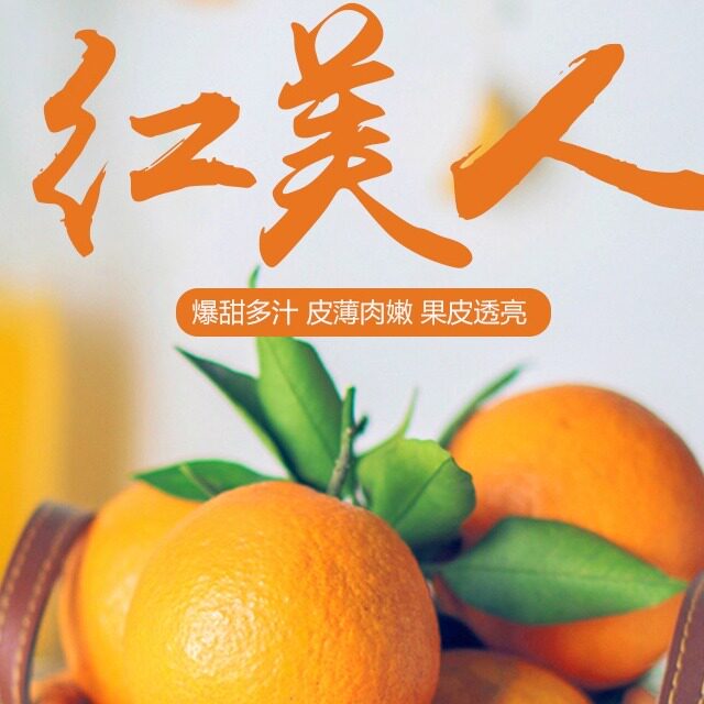 红美人柑橘浙江海宁尖山果冻橙新鲜孕妇水果当季水果桔子