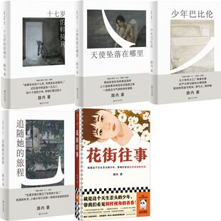 路内小说共5册：少年巴比伦+十七岁的轻骑兵+天使坠落在哪里+追随她的旅程等 路内  青春小说