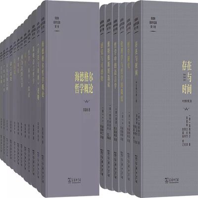 陈嘉映著译作品集18册海德格尔