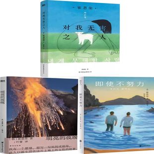 对我无害之人+明亮的夜晚+即使不努力共3册 作者:[韩] 崔恩荣 著 崔恩荣小说