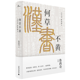 新民说·何草不黄：《汉书》断章解义 作者:鲁西奇 著 出版社:广西师范大学出版社