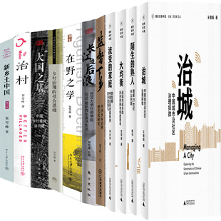 长江边 后浪 大均衡 治城 熟人 乡村治理 在野之学 贺雪峰作品11册 社会基础 陌生 监督下乡 治村 大国之基 新乡土中国等