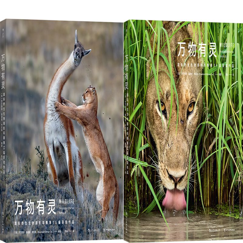 万物有灵国际野生生物摄影年赛