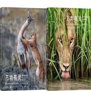 万物有灵:国际野生生物摄影年赛第54届获奖作品+万物有灵:国际野生生物摄影年赛第55届获奖作品2册 作者:罗莎蒙德基德曼·考克斯