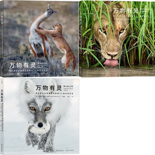 万物有灵 国际野生生物摄影年赛第53届获奖作品+国际野生生物摄影年赛第54届获奖作品+国际野生生物摄影年赛第55届获奖作品共3册