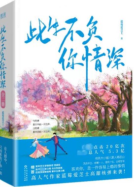 此生不负你情深2册言情小说