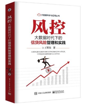 风控 大数据时代下的信贷风险管理和实践 作者:王军伟 著 出版社:电子工业出版社P