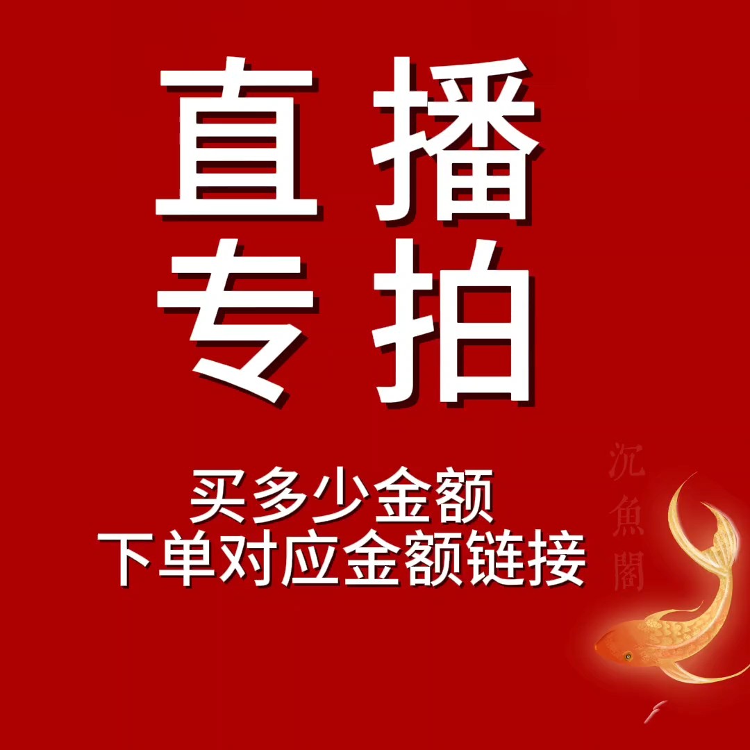 挑鱼专拍，私拍鱼儿随机发~