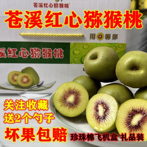 新鲜水果苍溪县奇异果红心猕猴桃