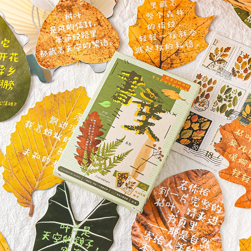 书叶异形明信片盒装平面卡片祝福留言贺卡秋天树叶装饰墙贴ins风