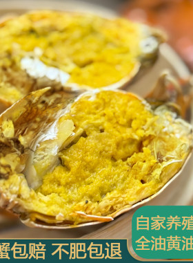 正宗珠三角全油黄油蟹顺丰包邮