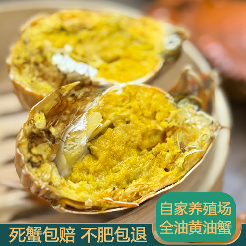 正宗珠三角全油黄油蟹顺丰包邮