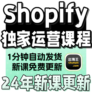 2023Shopify教程独立站搭建外贸跨境电商开店运营课培训视频模板