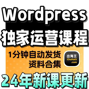 新课 WP教程外贸英文网站开发推广培训跨境电商营销实操视频