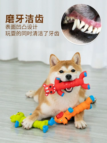 Магазин возвращает более 10 000 цветов в расстегнутые домашние собаки, голосовающие игрушки, измельчение зубов, Шиба Ину Бомей Маленький и Средний Собачья латекс