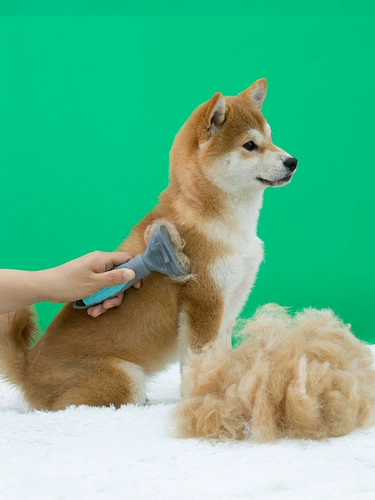 Расческа для домашних собак расчесывает артефакт для кошачьего кошачья щетка Shiba inu Cocyli маленькие и средние собаки, чтобы поплавать кисти собачьи волосы