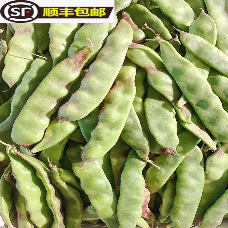 顺丰包邮东北一点红油豆角5斤新鲜面豆角开锅烂农家芸豆蔬菜　