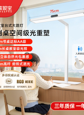 孩视宝护眼台灯智能学习专用宿舍阅读儿童书桌写字大路灯TI01-50W