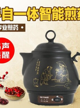 Tonze/天际BJH-200P 陶瓷全自动煎药壶保健壶熬药锅中药煲养生壶