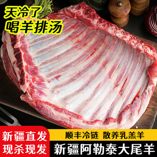 正宗新疆羊排阿勒泰大尾羊天山牧场草原散养新鲜羊肉新疆顺丰直发
