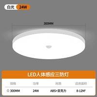 Физиологичный, индукционный, 30см, 24W