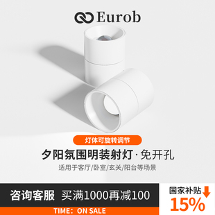 明装夕阳射灯日不落洗墙可调角度家用嵌入客厅玄关照画氛围灯照明