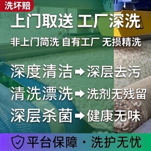 【1平米】化纤地毯清洗家用 深洗强力去污 烘干除螨去味 免费取送