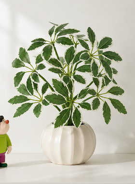 仿真鸭掌叶南瓜盆绿植桌面装饰品
