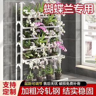 角钢蝴蝶兰花架置物架移动兰花室内外架子家用多层落地自由调节架