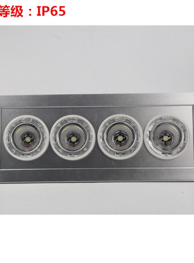 NFE9121应急顶灯NFC9121嵌入式电厂电房固态免维护LED灯12W