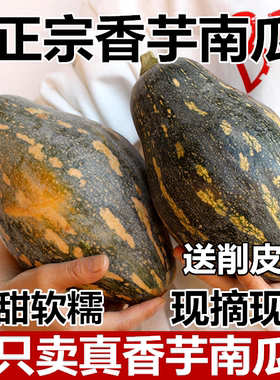 正宗广西香芋南瓜宝宝辅食芋头味老小南瓜新鲜蔬菜非贝贝板栗南瓜
