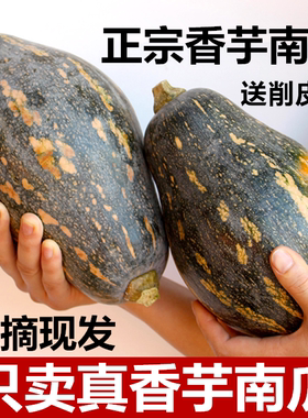 正宗广西香芋南瓜软糯香甜