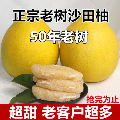 【纯甜】正宗沙田柚白肉柚子广西香柚新鲜应季水果非广东梅州容县